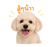 859507863
