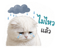 859508440