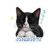 859508455