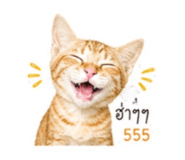 859508762