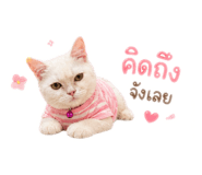 859512357