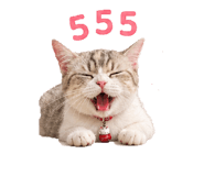 859513075