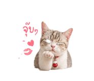 859513087