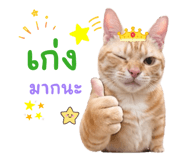 859514487