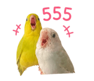 859514675
