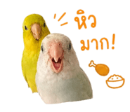 859514677