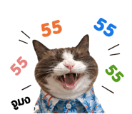 859515386