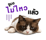 859515390