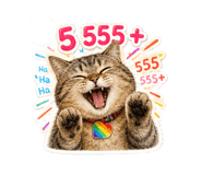 859516365