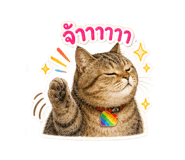 859516376