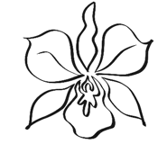 859516791