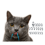 859516959