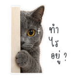859516967
