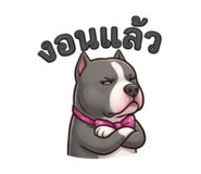859517576