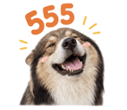 859517602