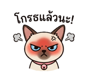 859519645