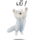 859521138