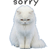 859521140