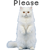 859521150