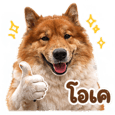 859522081