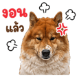 859522086
