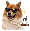 859522095