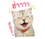 859522931