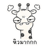 859523690