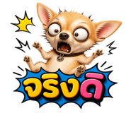 859524007