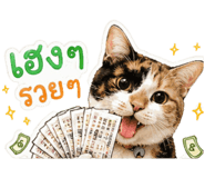 859524209