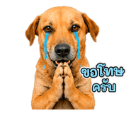 859524226