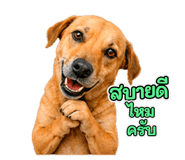 859524230