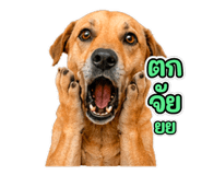 859524236