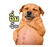 859524249