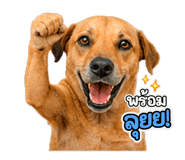 859524250