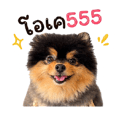 859524777