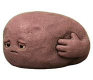859525637