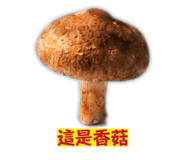 859526129
