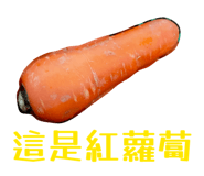 859526134