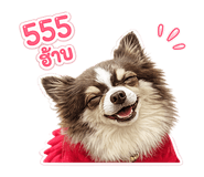 859528575