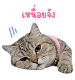 859529304