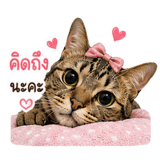 859529521