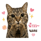 859529533