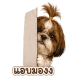 859532500