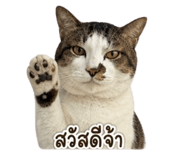 859532818