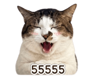 859532821