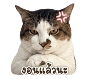 859532822