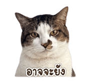 859532830