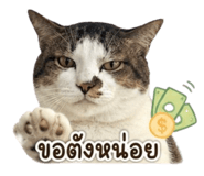 859532832