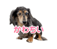 859603438